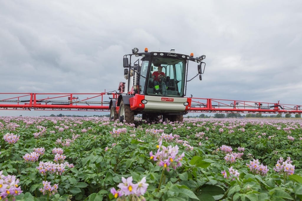 Potatoes - Agrifac